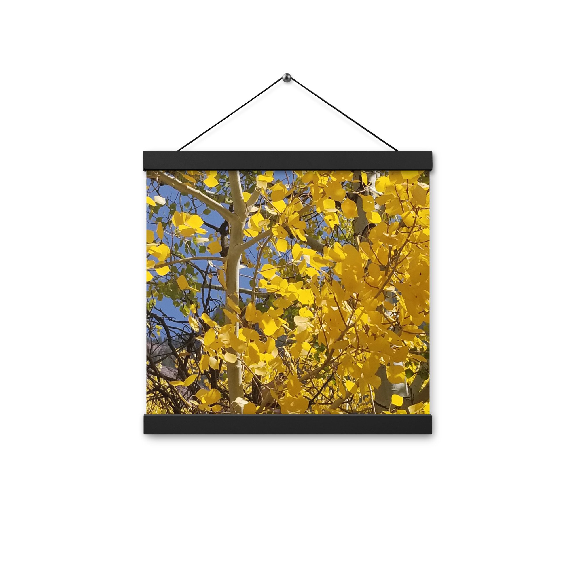enhanced-matte-paper-poster-with-hanger-(in)-black-12x12-front-654be8fc5f84d.jpg