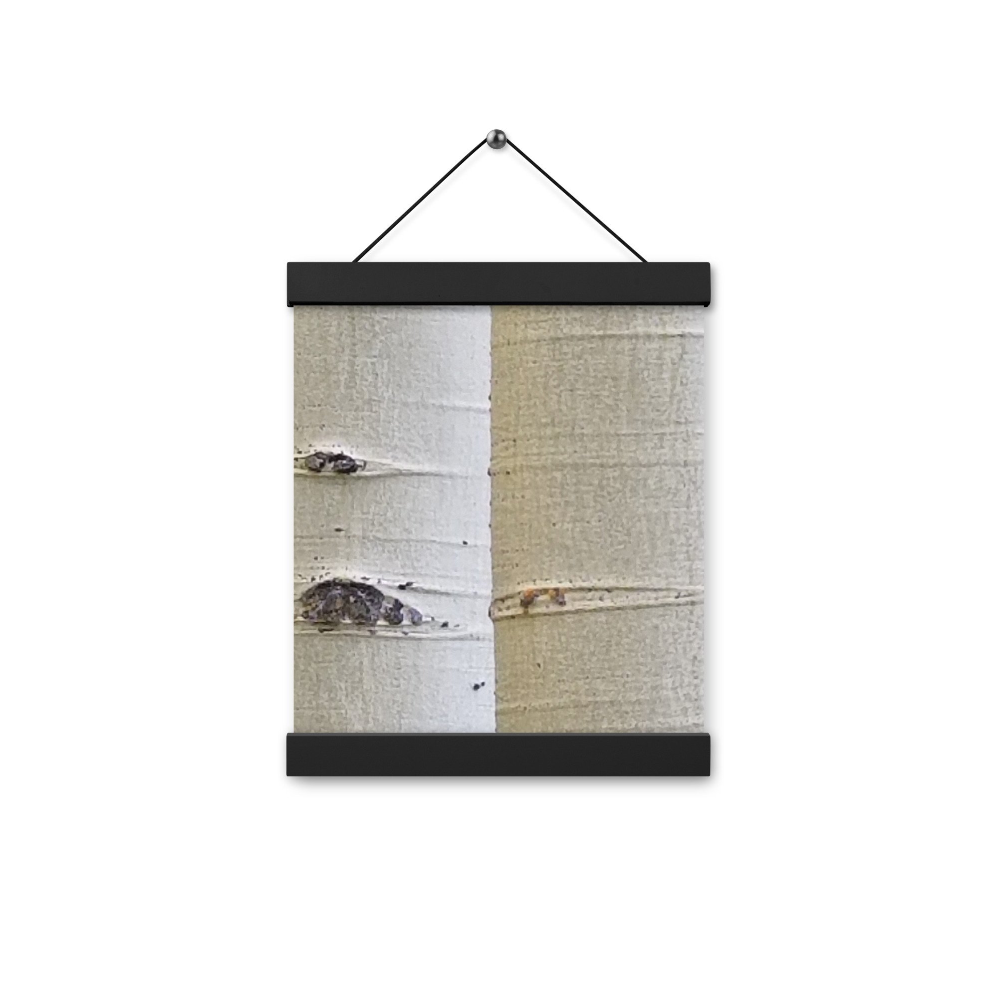 enhanced-matte-paper-poster-with-hanger-(in)-black-8x10-front-654c1d43a7fb7.jpg
