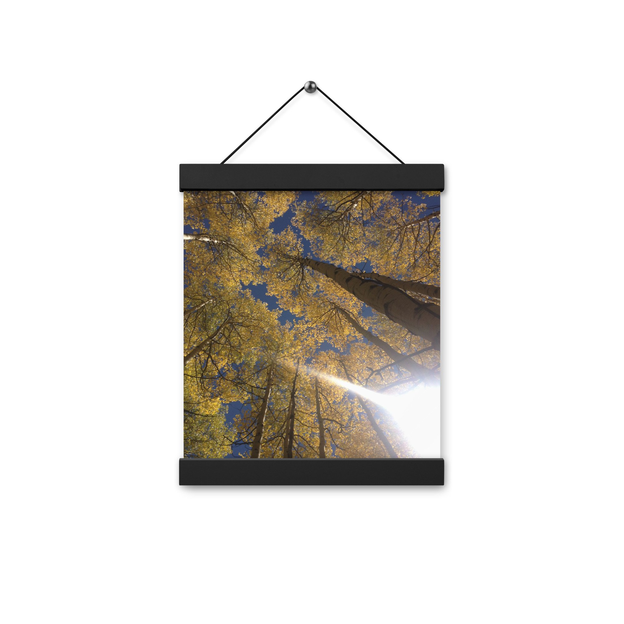 enhanced-matte-paper-poster-with-hanger-(in)-black-8x10-front-654d48ef4e895.jpg
