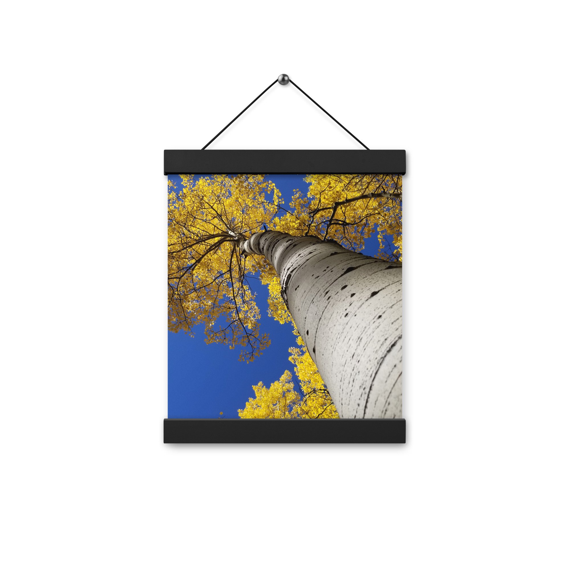 enhanced-matte-paper-poster-with-hanger-(in)-black-8x10-front-654d6682d7597.jpg