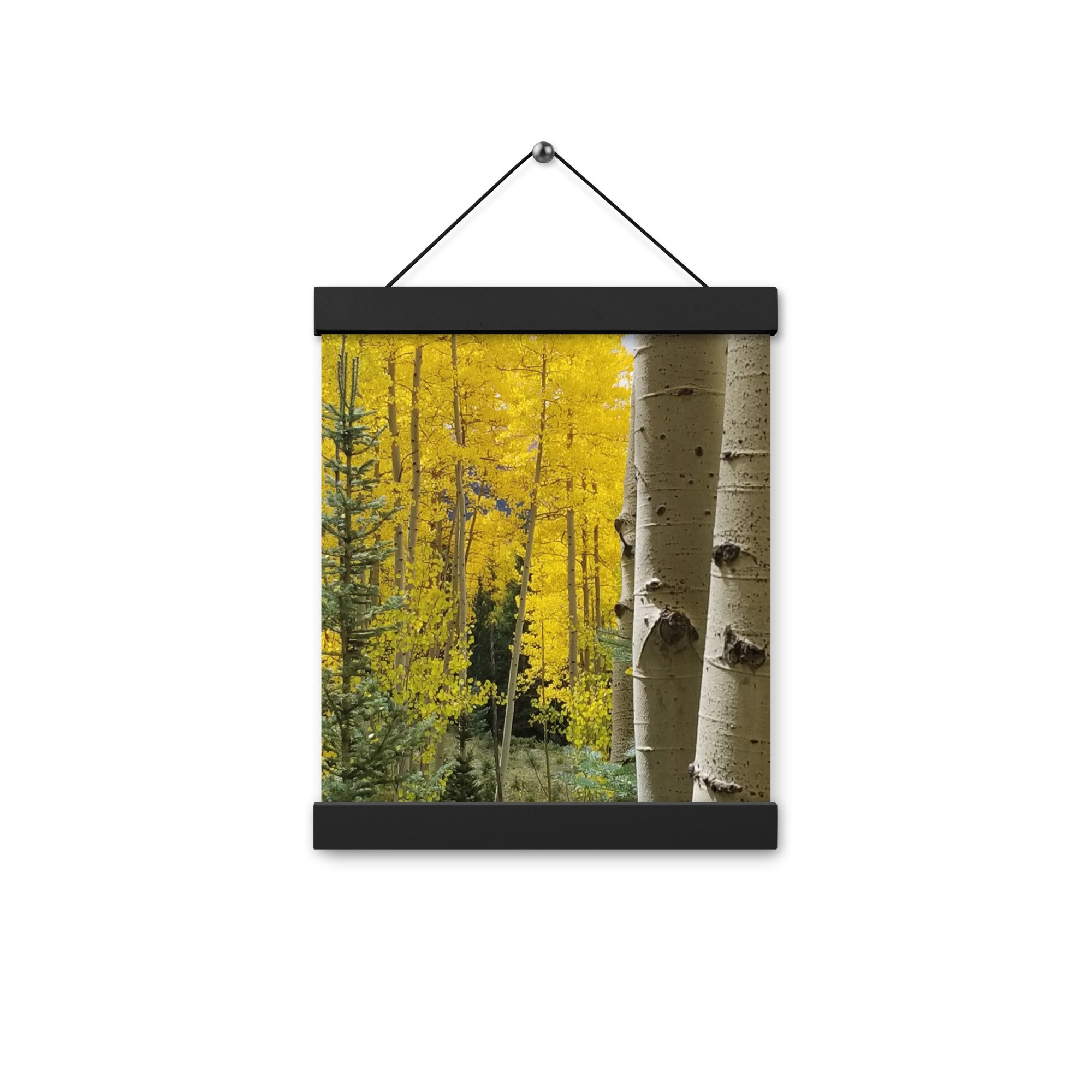 enhanced-matte-paper-poster-with-hanger-(in)-black-8x10-front-654d6a410cd65.jpg