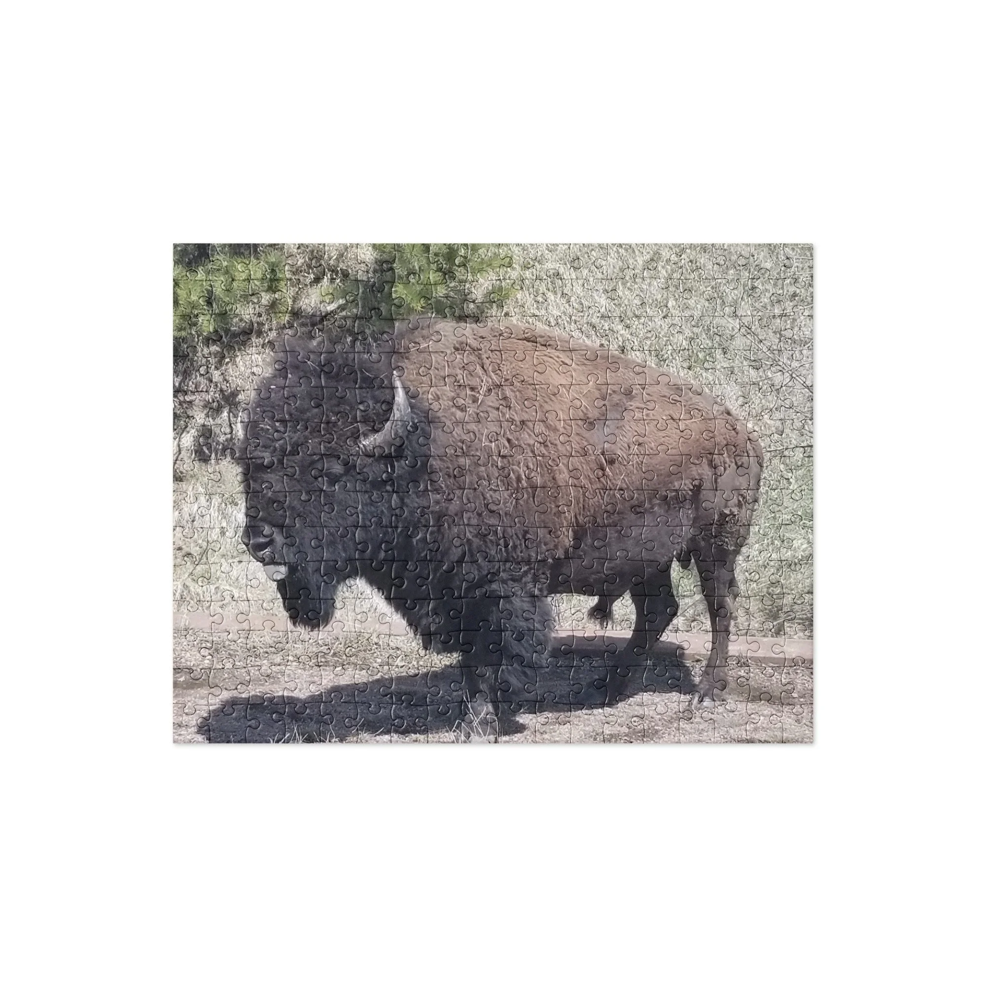 jigsaw-puzzle-252-pieces-front-654e52d384c5c.jpg