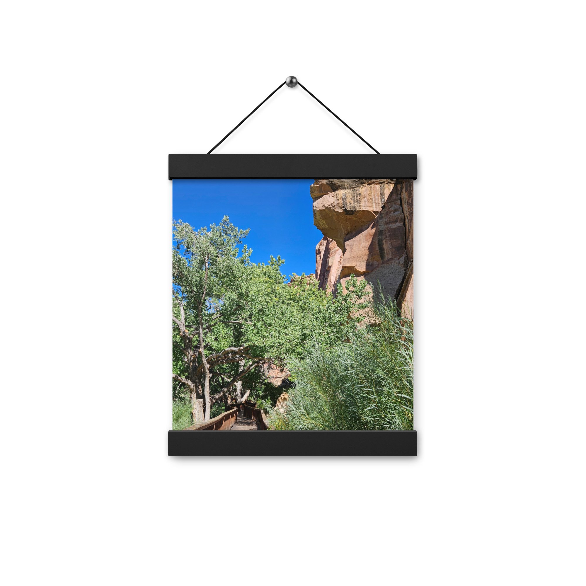 enhanced-matte-paper-poster-with-hanger-(in)-black-8x10-front-654fde1418dac.jpg
