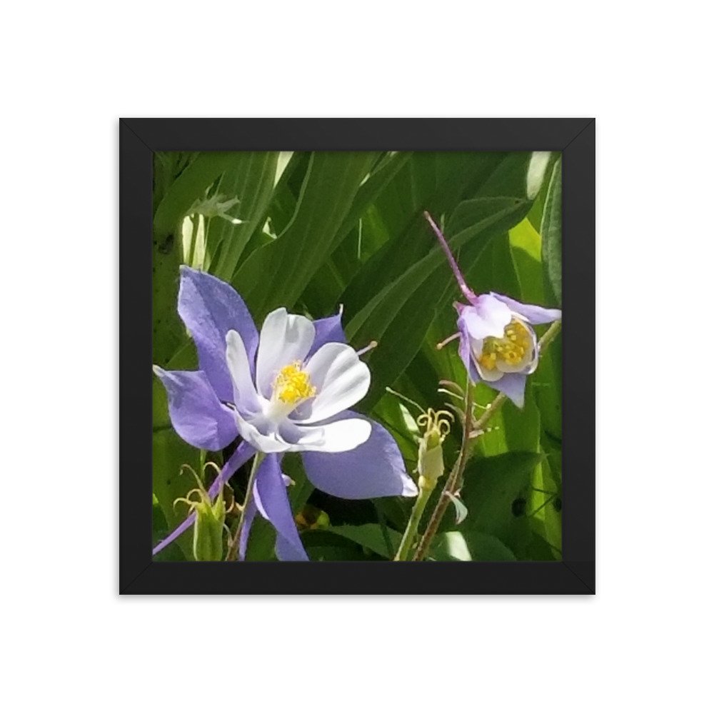 enhanced-matte-paper-framed-poster-(in)-black-10x10-transparent-654ff56a45eb3.jpg