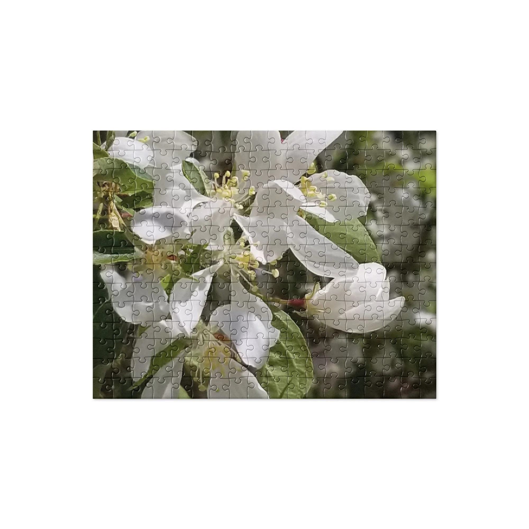 jigsaw-puzzle-252-pieces-front-65526821ea07d.jpg