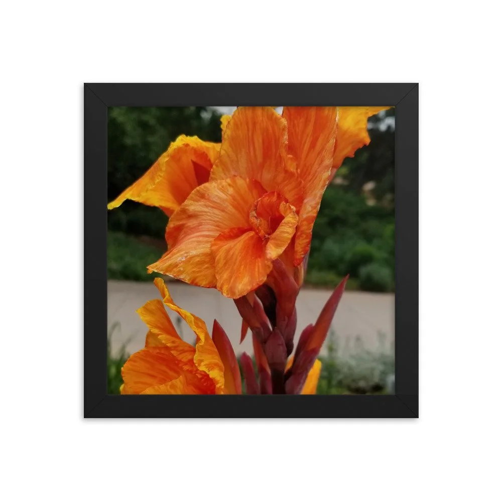 enhanced-matte-paper-framed-poster-(in)-black-10x10-transparent-6552a2e77a5ac.jpg