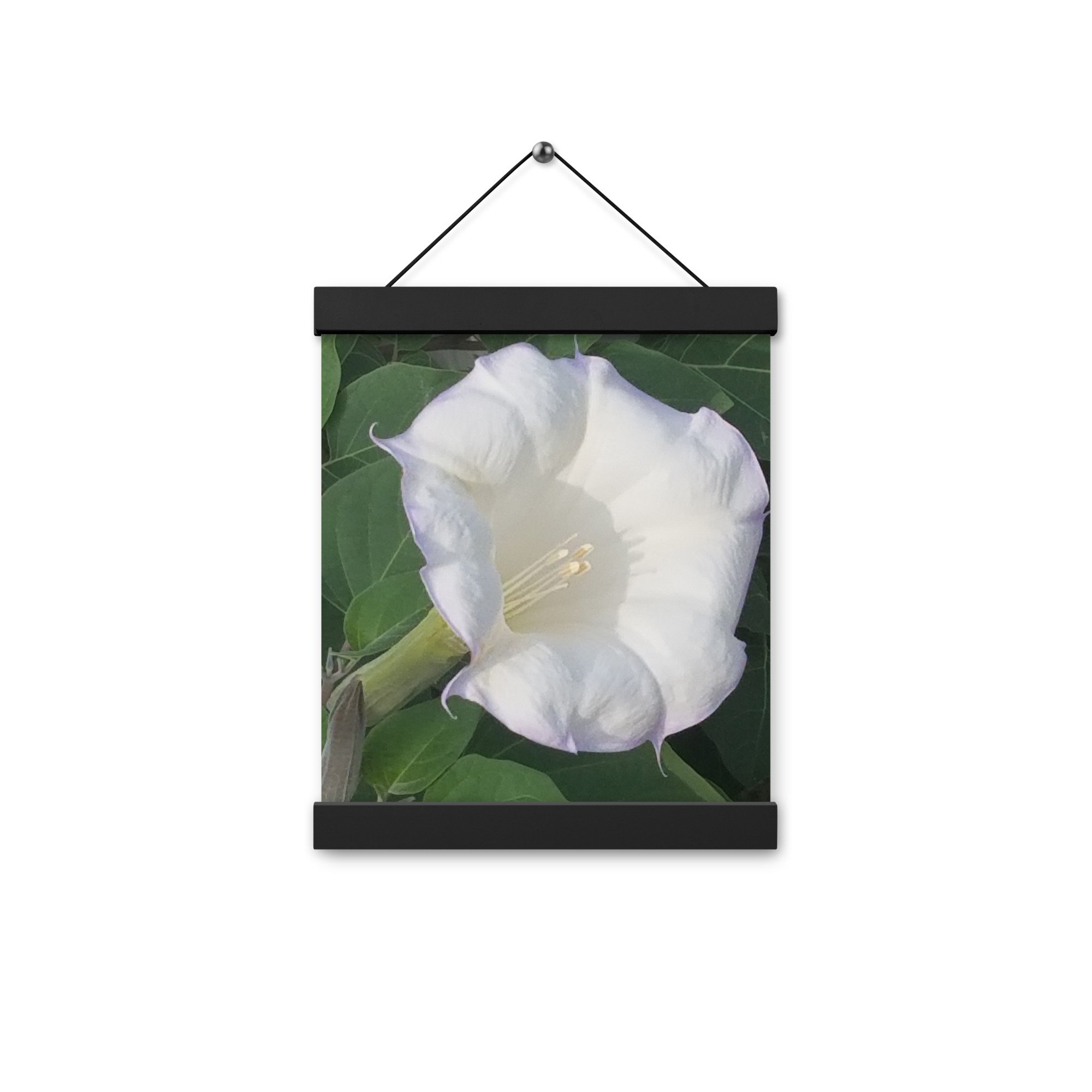 enhanced-matte-paper-poster-with-hanger-(in)-black-8x10-front-6552a7ddbb8e7.jpg