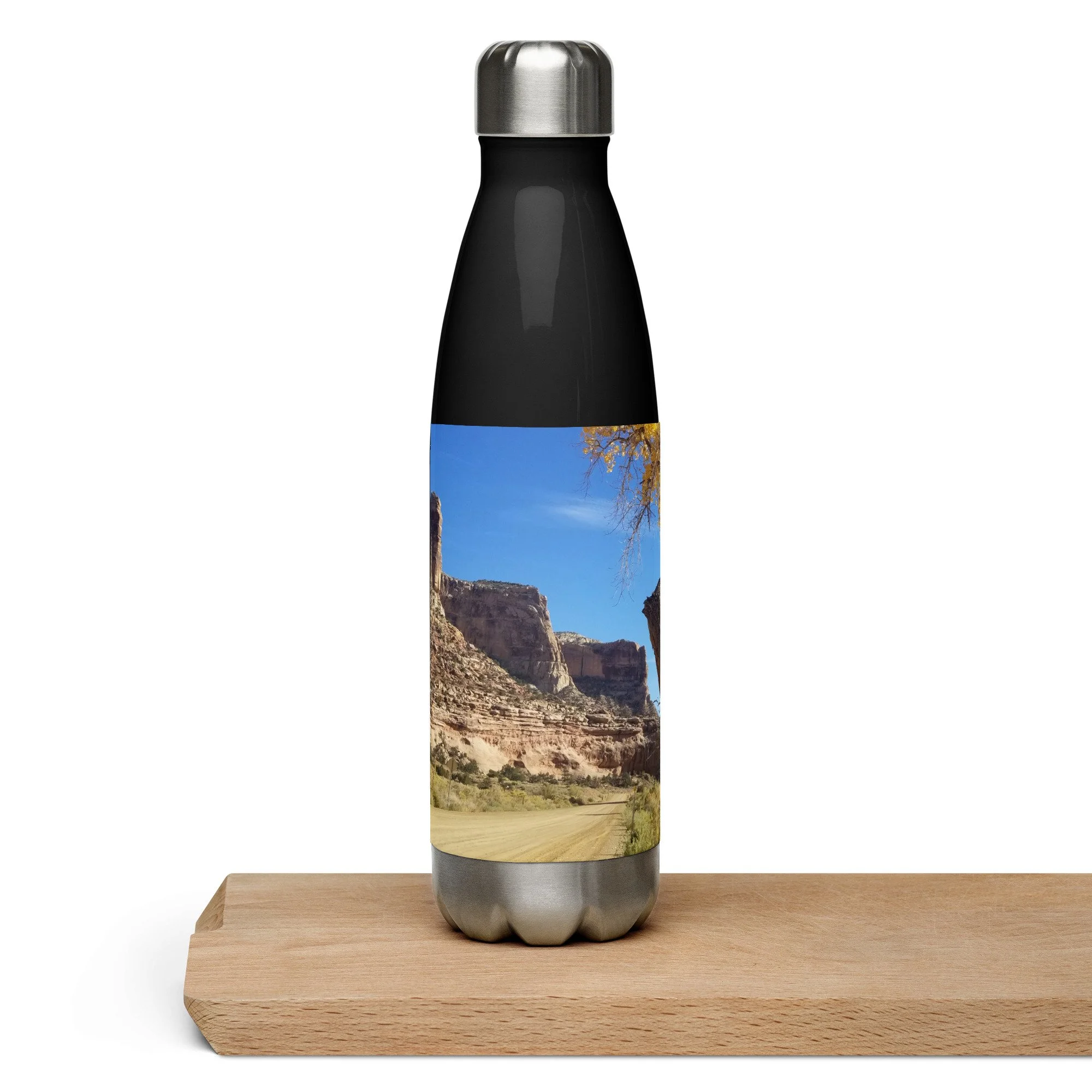 stainless-steel-water-bottle-black-17-oz-right-6552abb491522.jpg