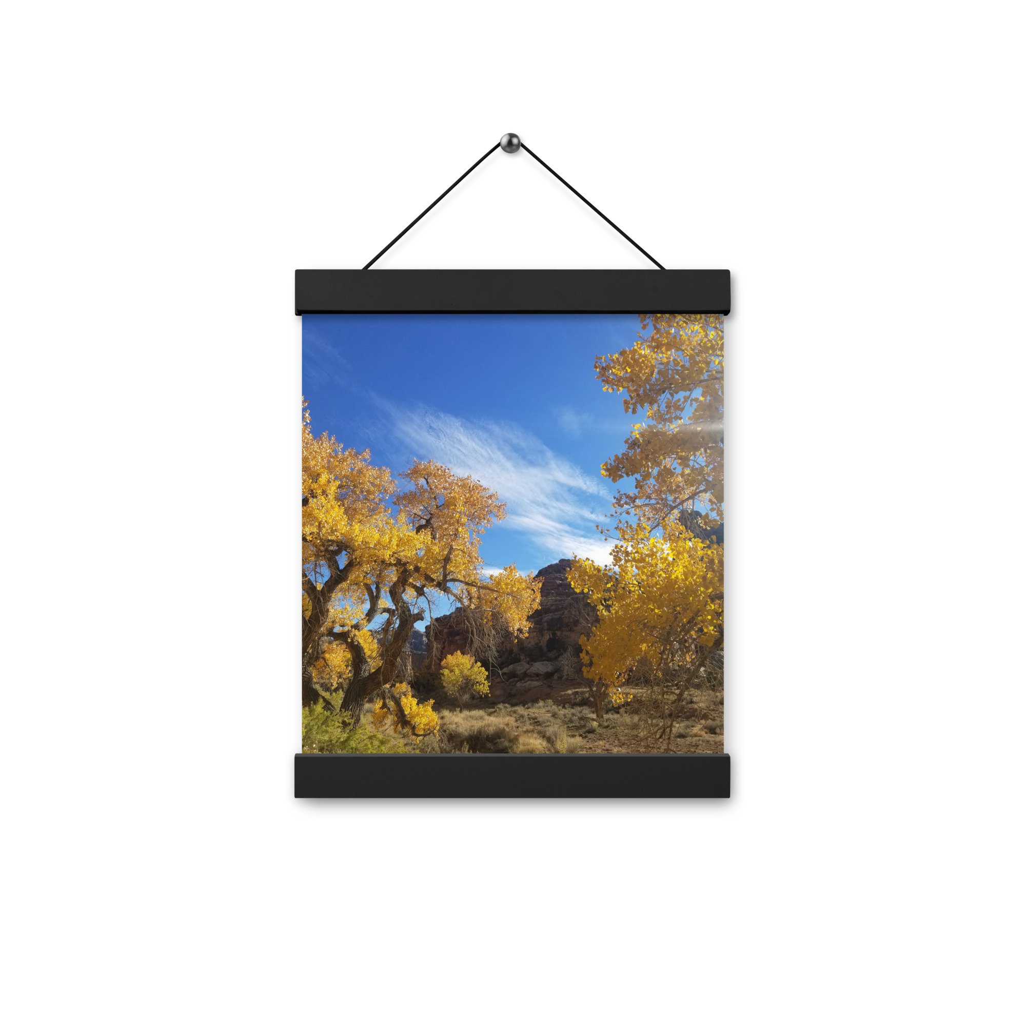 enhanced-matte-paper-poster-with-hanger-(in)-black-8x10-front-6552ae9ecb103.jpg
