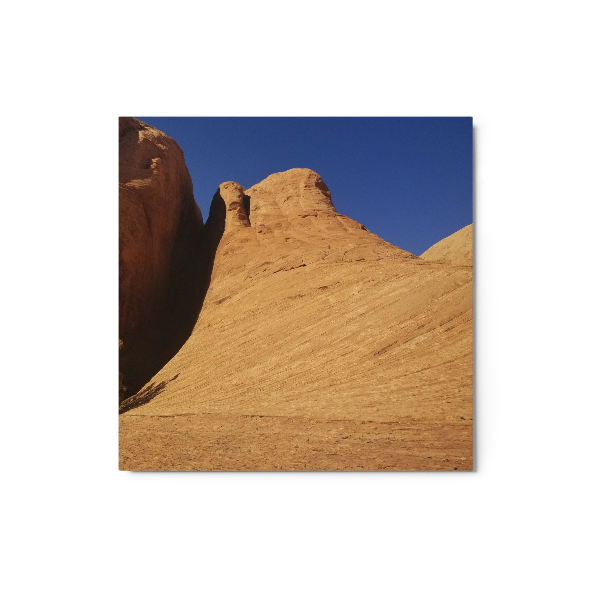 glossy-metal-print-(in)-white-12x12-front-6563a27d0ece9.jpg