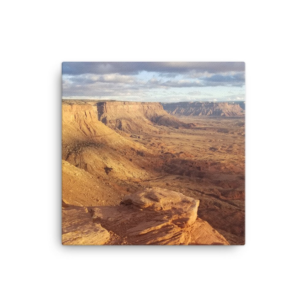 canvas-(in)-12x12-wall-6563cec0303c6.jpg