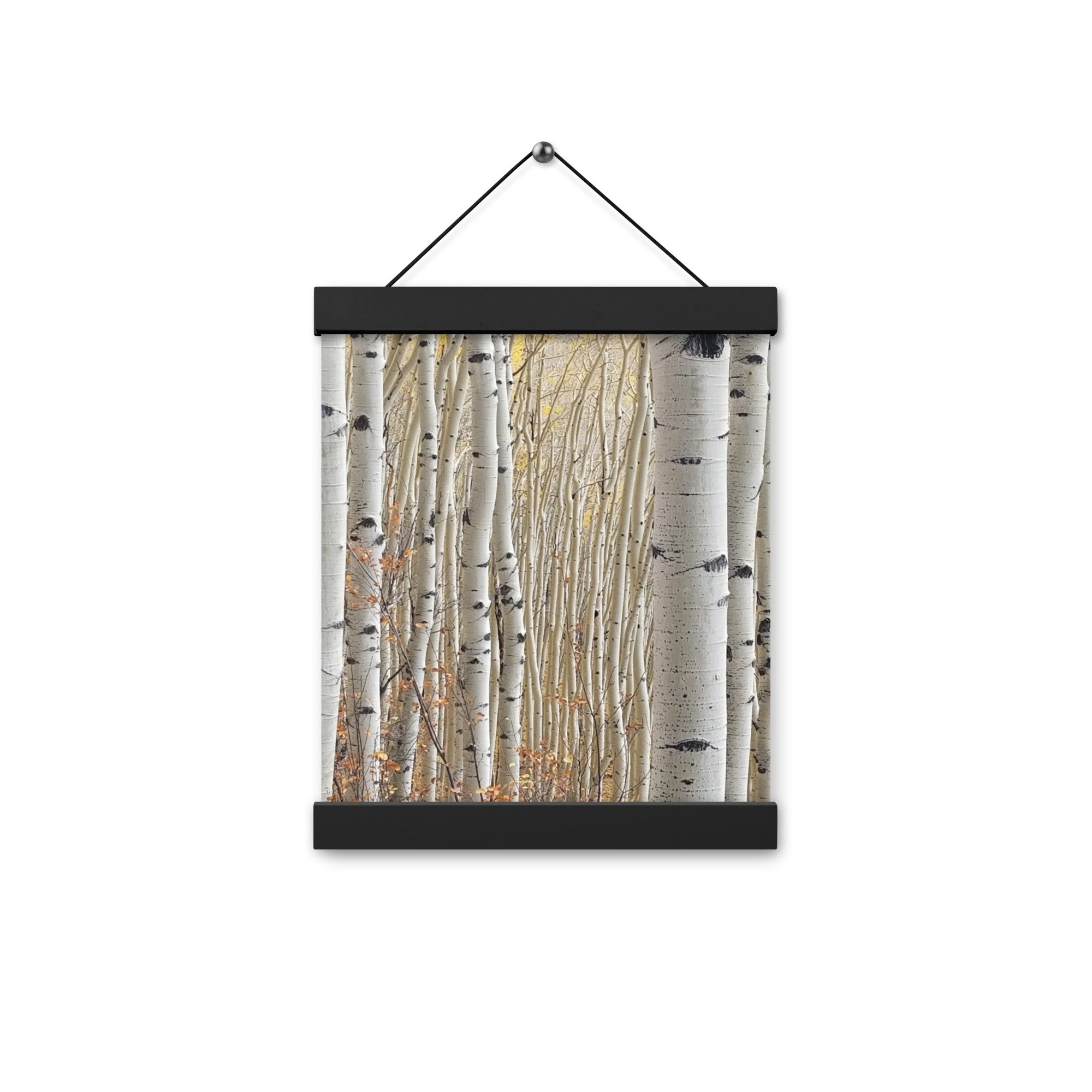 enhanced-matte-paper-poster-with-hanger-(in)-black-8x10-front-6563e47c7817d.jpg