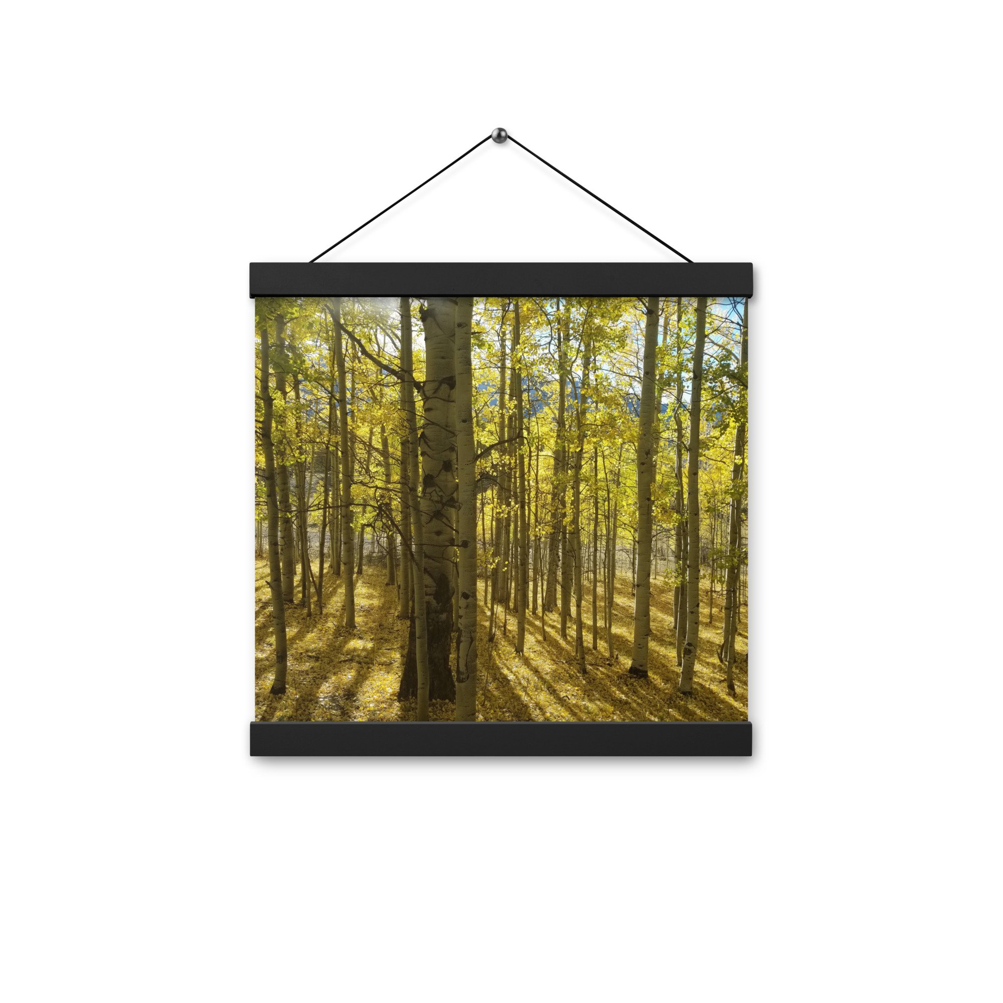 enhanced-matte-paper-poster-with-hanger-(in)-black-12x12-front-6563e78b20fc8.jpg
