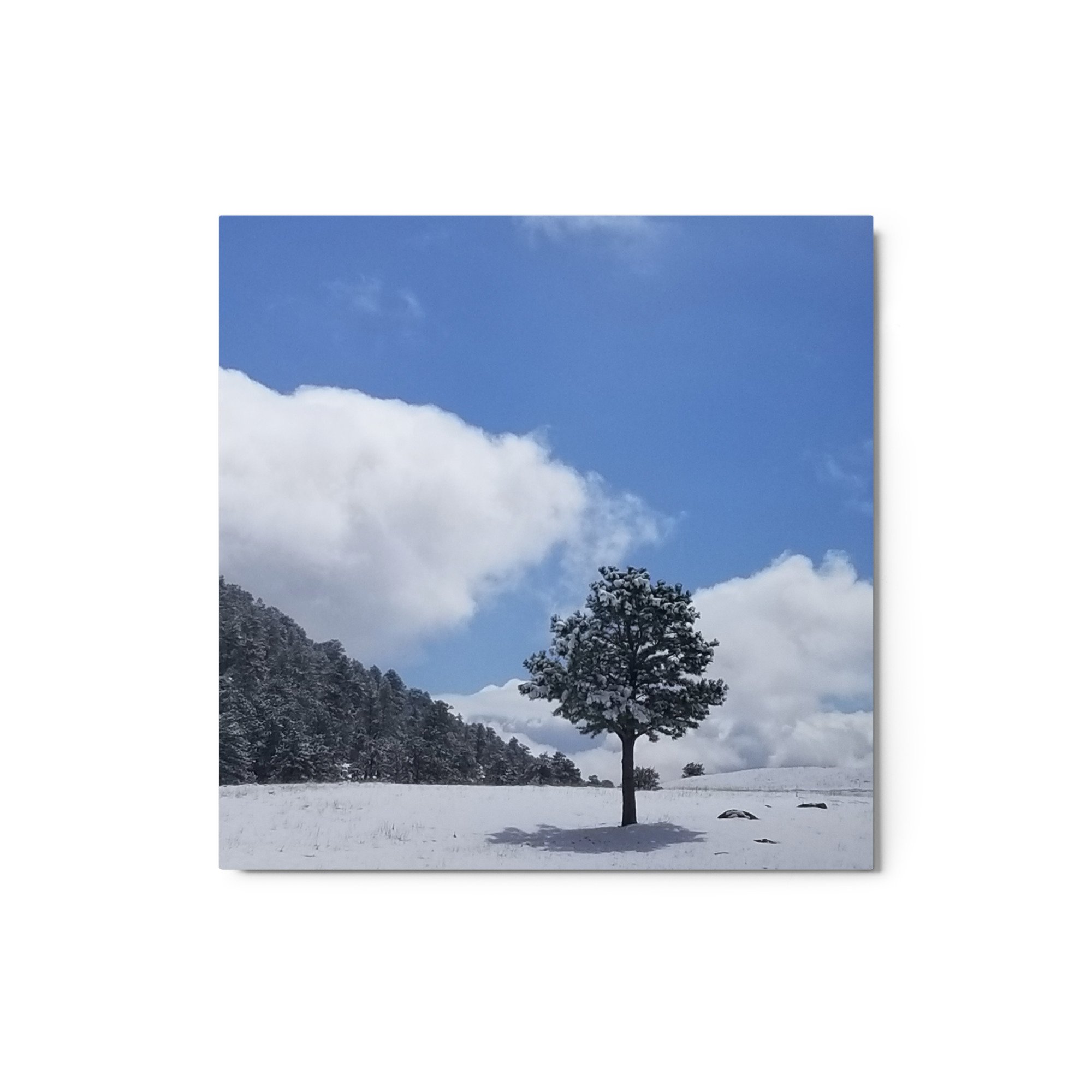glossy-metal-print-(in)-white-12x12-front-6563f1ce6c79f.jpg