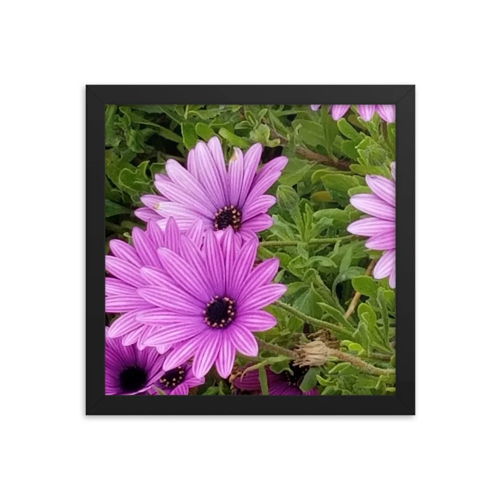 enhanced-matte-paper-framed-poster-(in)-black-12x12-transparent-65667b6a76a3a.jpg