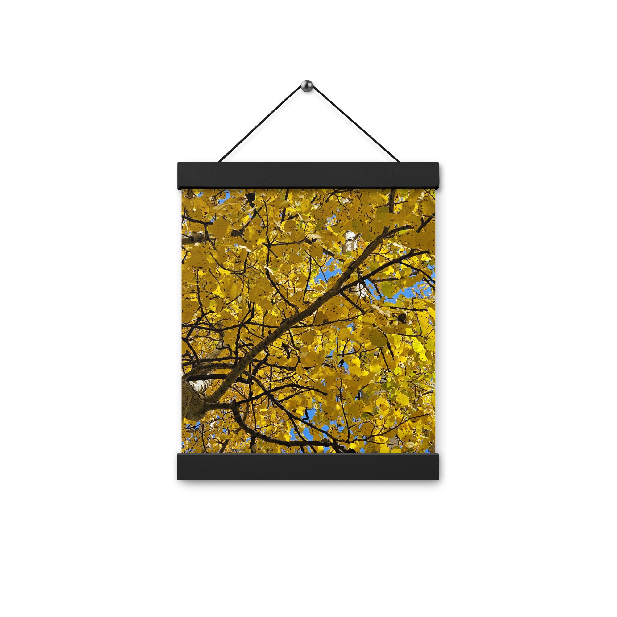 enhanced-matte-paper-poster-with-hanger-(in)-black-8x10-front-6567b8a3c1aa8.jpg