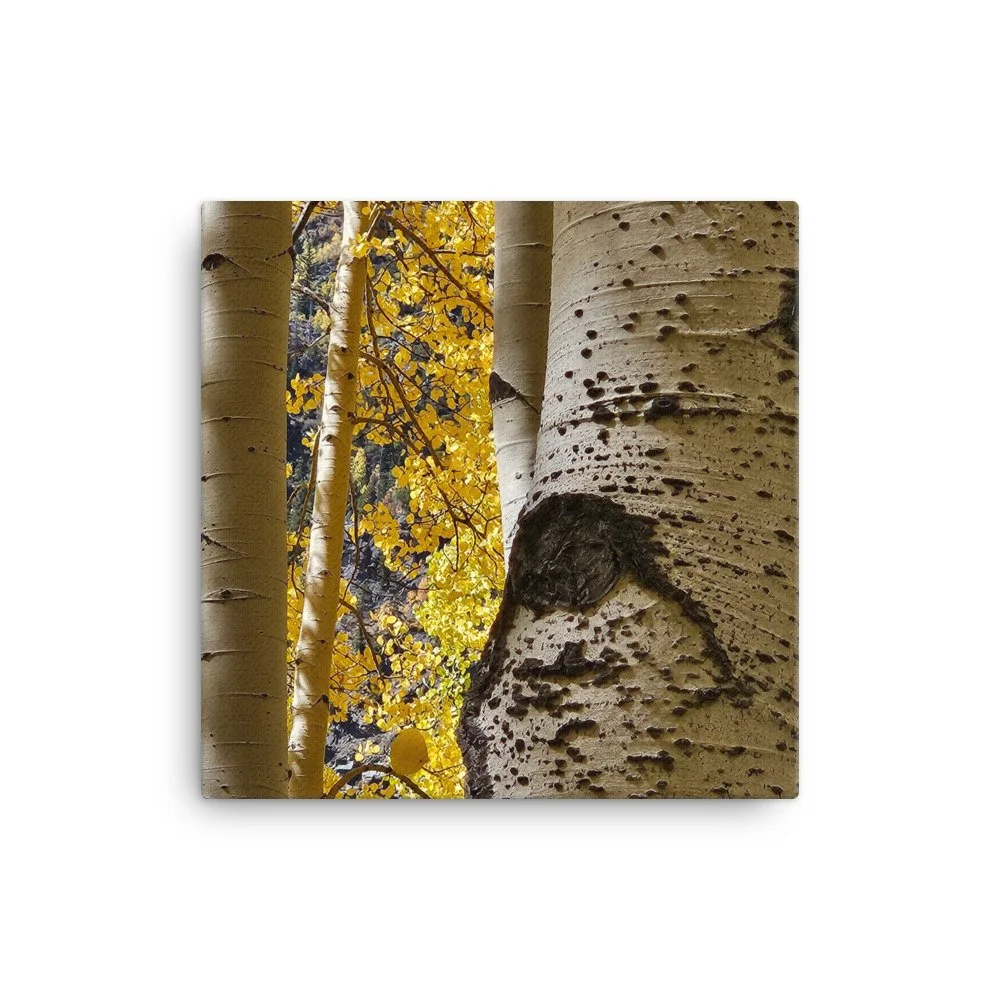canvas-(in)-12x12-wall-6567bfaaeef96.jpg
