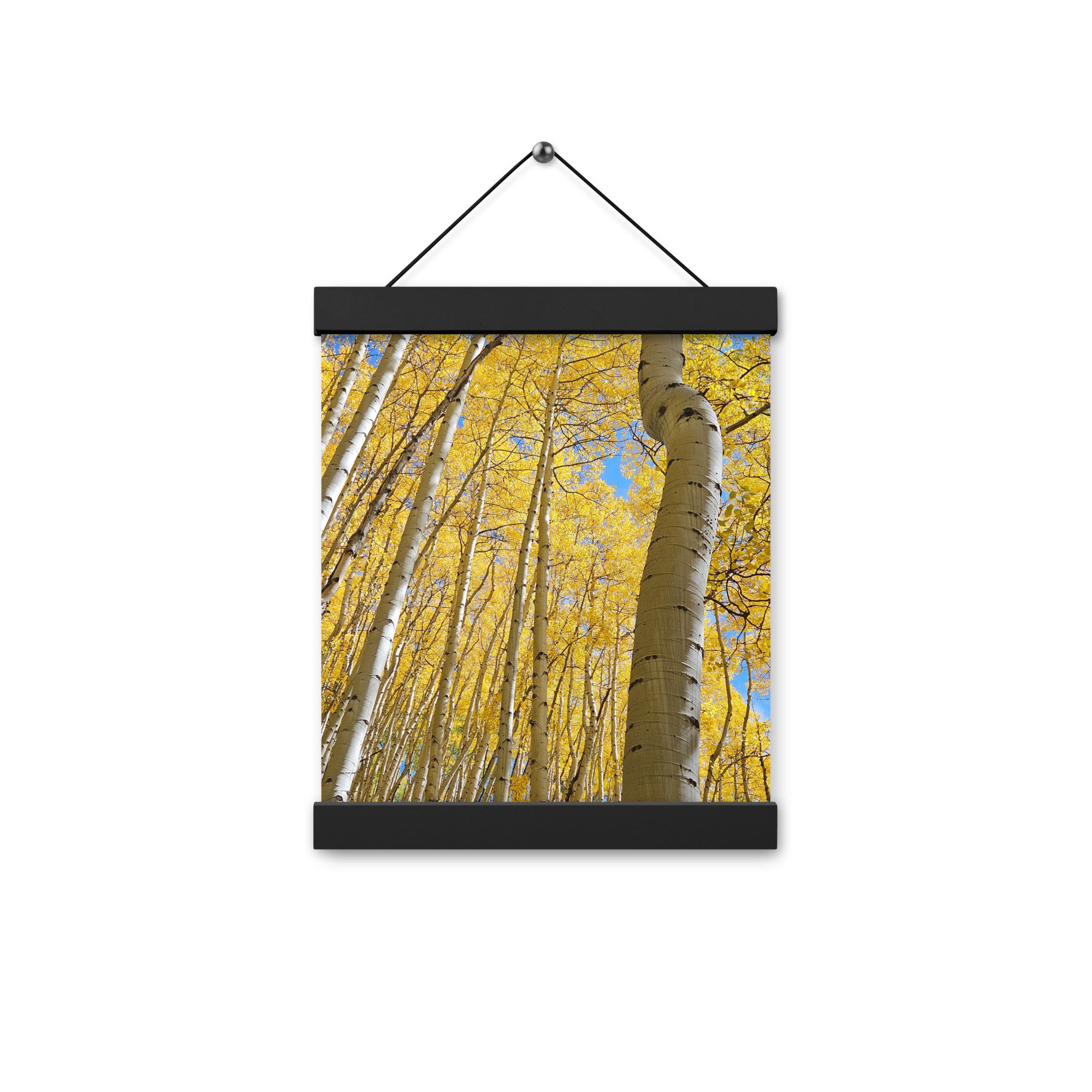 enhanced-matte-paper-poster-with-hanger-(in)-black-8x10-front-6567c2ef7150f.jpg