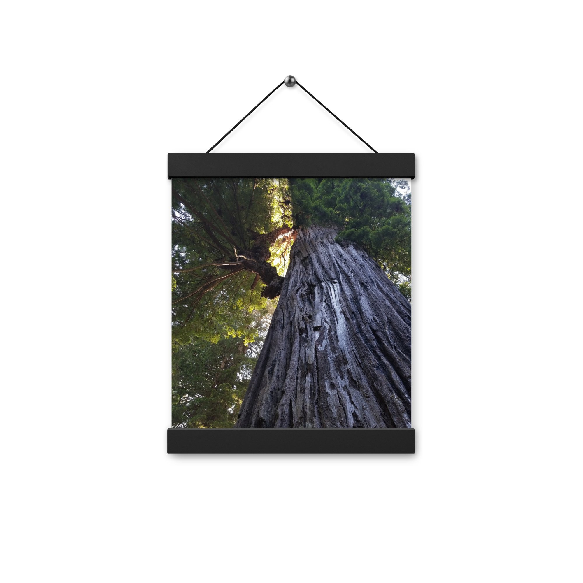 enhanced-matte-paper-poster-with-hanger-(in)-black-8x10-front-6567d803a2e50.jpg