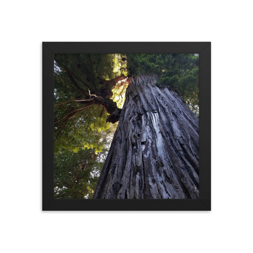 enhanced-matte-paper-framed-poster-(in)-black-10x10-transparent-6567d826f2e6b.jpg