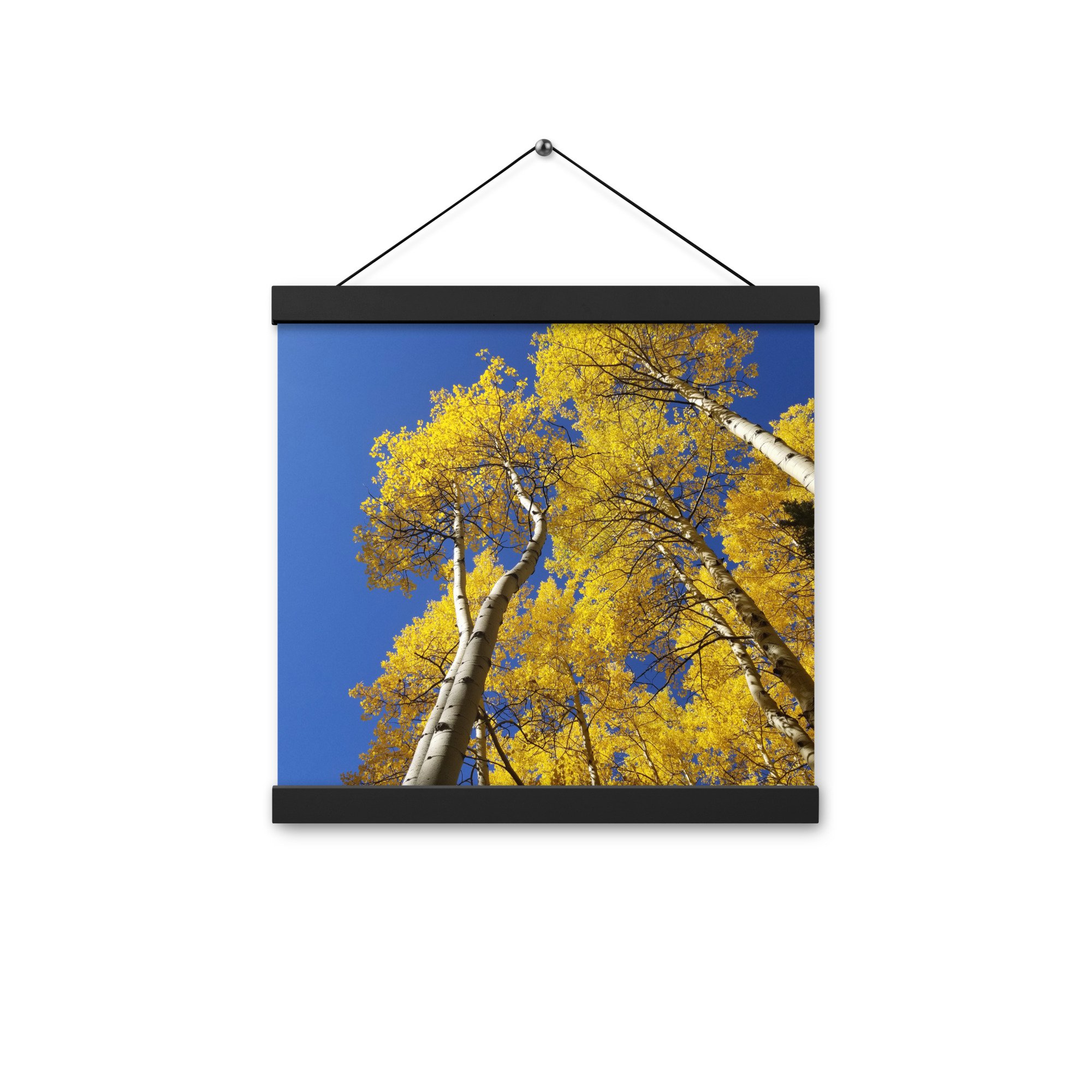 enhanced-matte-paper-poster-with-hanger-(in)-black-12x12-front-656bb502e590d.jpg