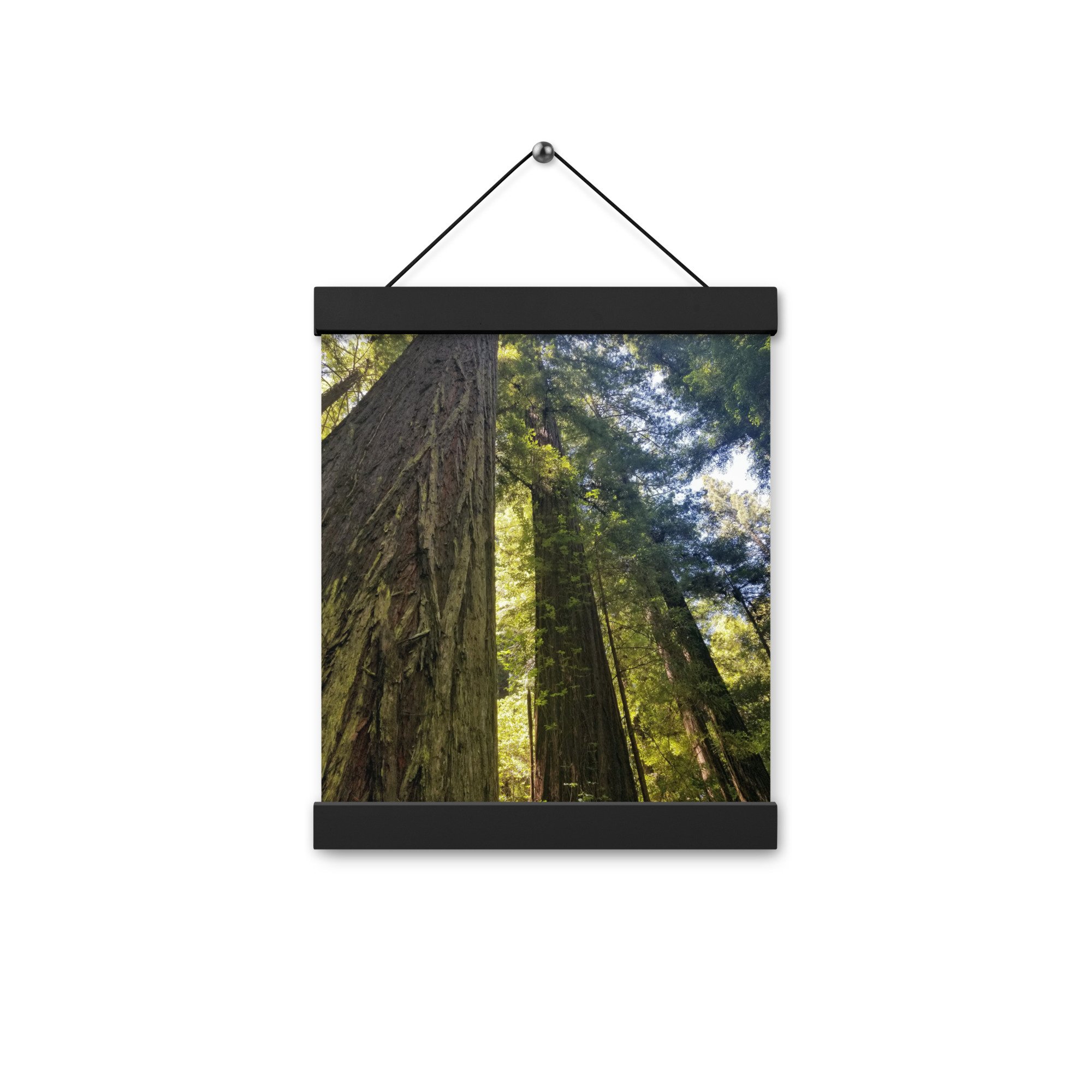 enhanced-matte-paper-poster-with-hanger-(in)-black-8x10-front-6594a516db3da.jpg