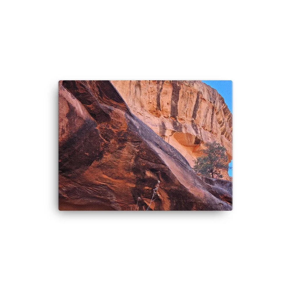 canvas-(in)-12x16-wall-661575ccd73e0.jpg