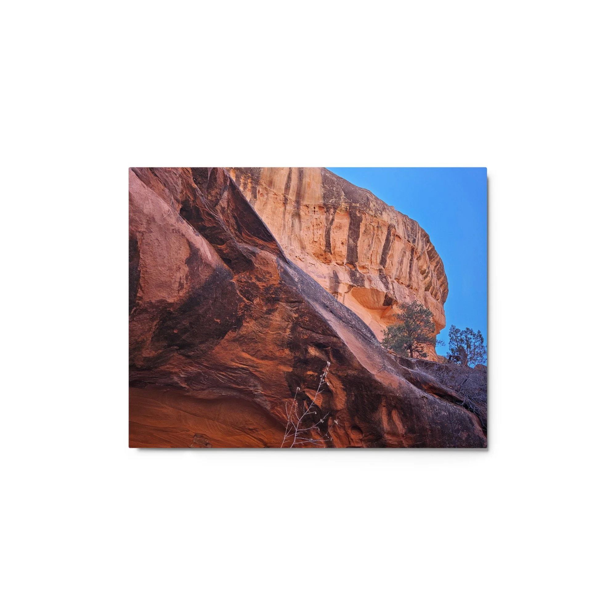 glossy-metal-print-(in)-white-11x14-front-661576bb1f563.jpg