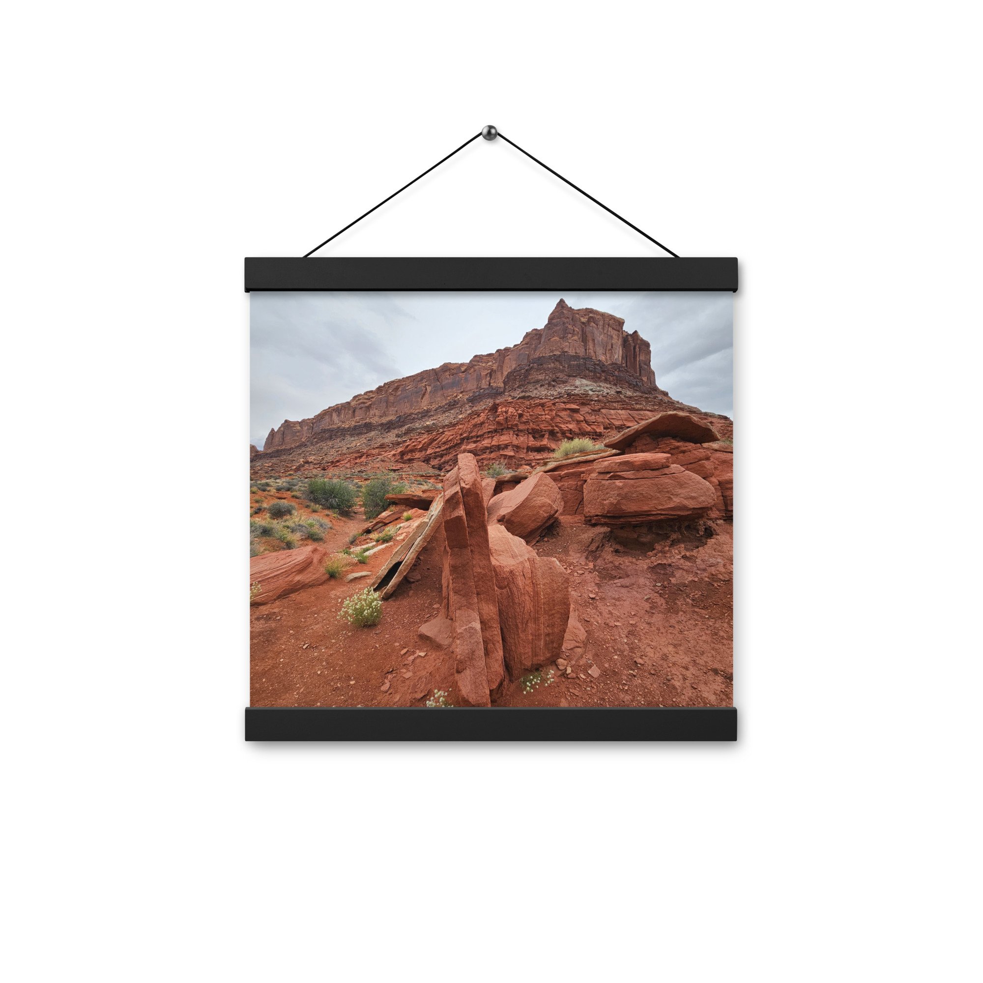 enhanced-matte-paper-poster-with-hanger-(in)-black-12x12-front-6637f4476b975.jpg
