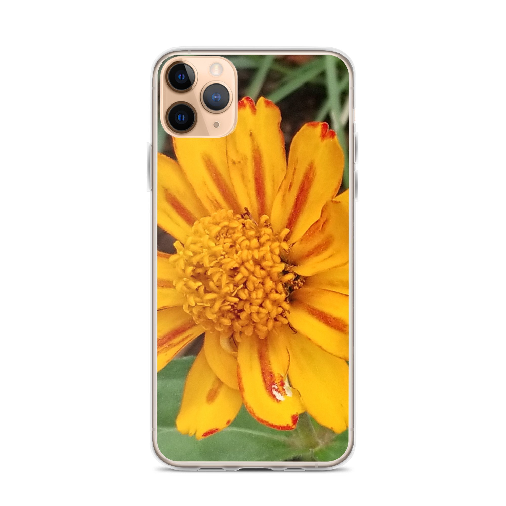 clear-case-for-iphone-iphone-11-pro-max-case-on-phone-6733a560e1b51.jpg