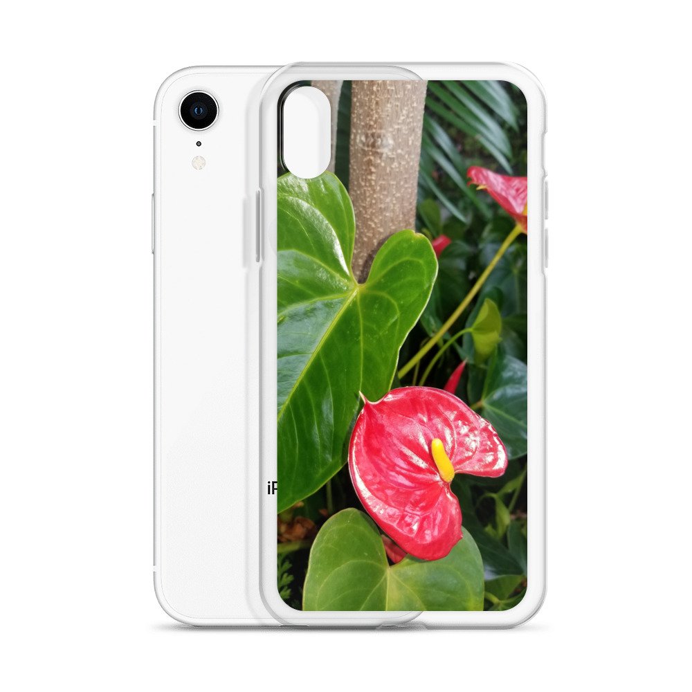 clear-case-for-iphone-iphone-xr-case-with-phone-6733a6a5599a0.jpg