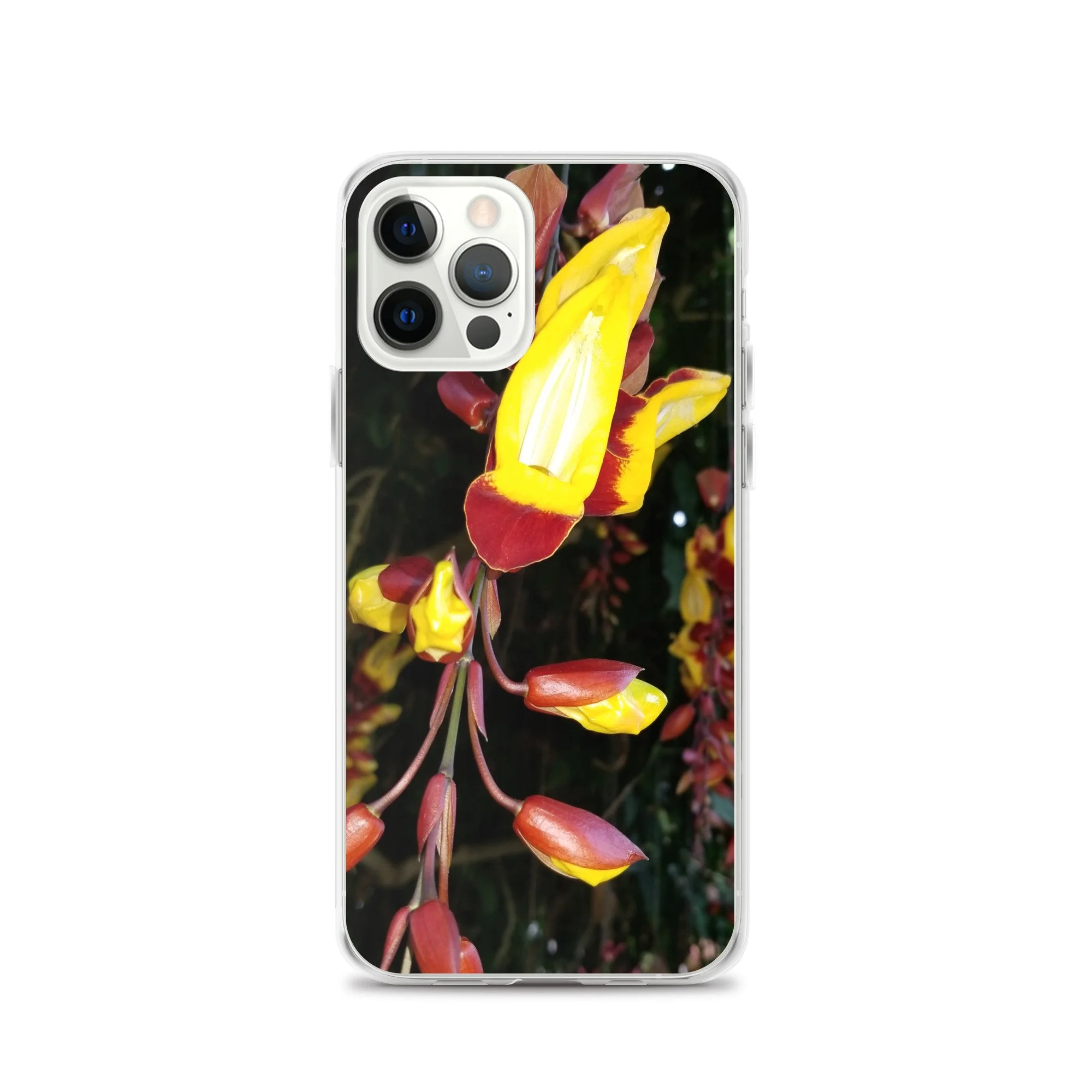 clear-case-for-iphone-iphone-12-pro-case-on-phone-6733a78cb80cf.jpg