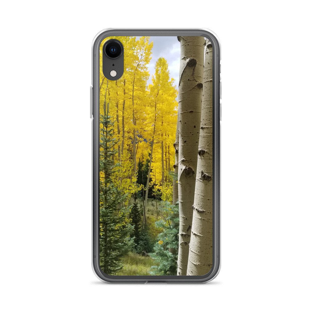clear-case-for-iphone-iphone-xr-case-on-phone-674234a28d006.jpg