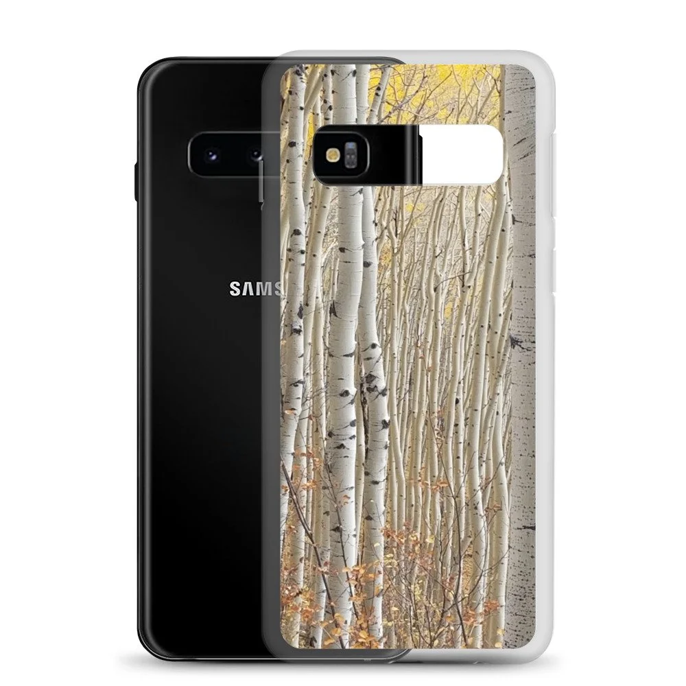 clear-case-for-samsung-samsung-galaxy-s10-case-with-phone-674248217b701.jpg