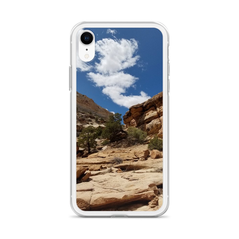 clear-case-for-iphone-iphone-xr-case-on-phone-6744b83231b3e.jpg