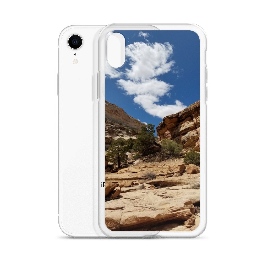clear-case-for-iphone-iphone-xr-case-with-phone-6744b83231b7f.jpg