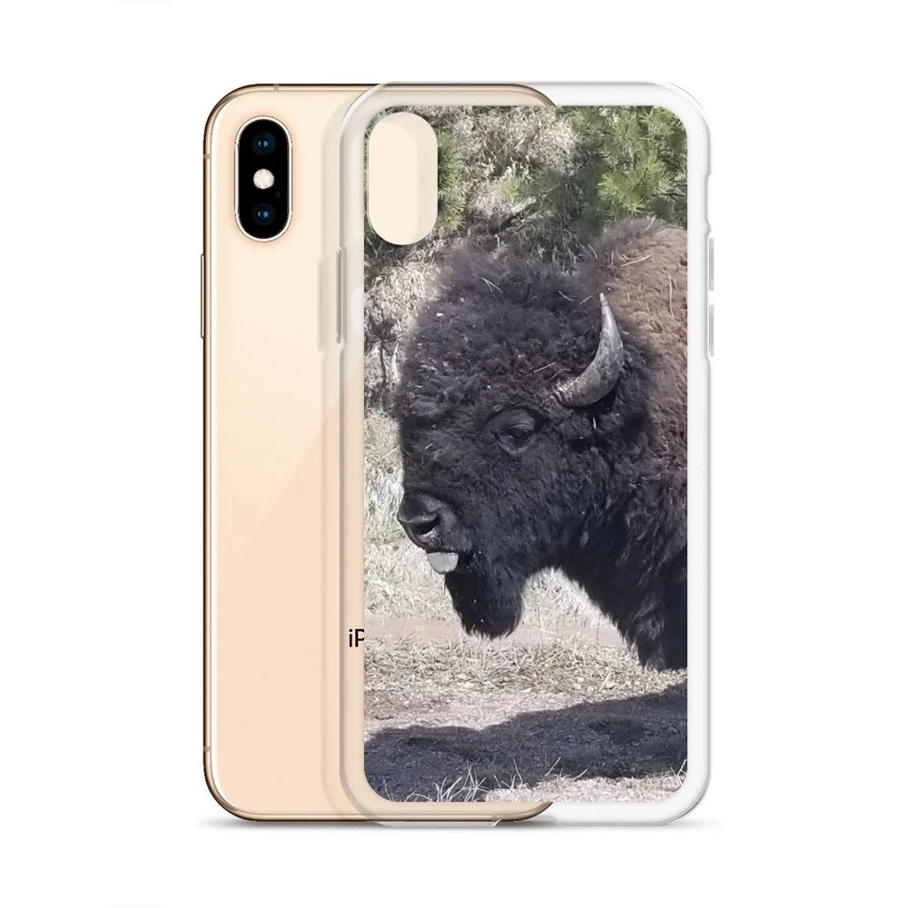 clear-case-for-iphone-iphone-x-xs-case-with-phone-6744c51d667c1.jpg