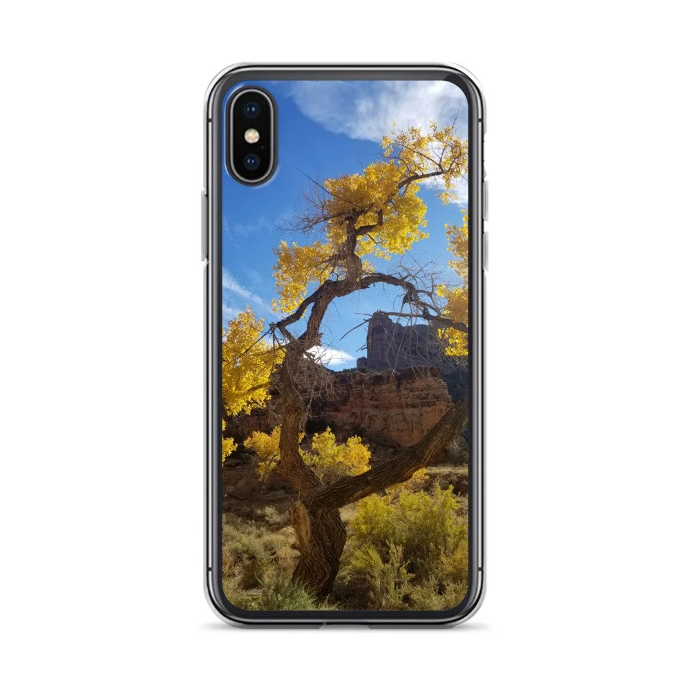 clear-case-for-iphone-iphone-x-xs-case-on-phone-6744ea21b9d35.jpg