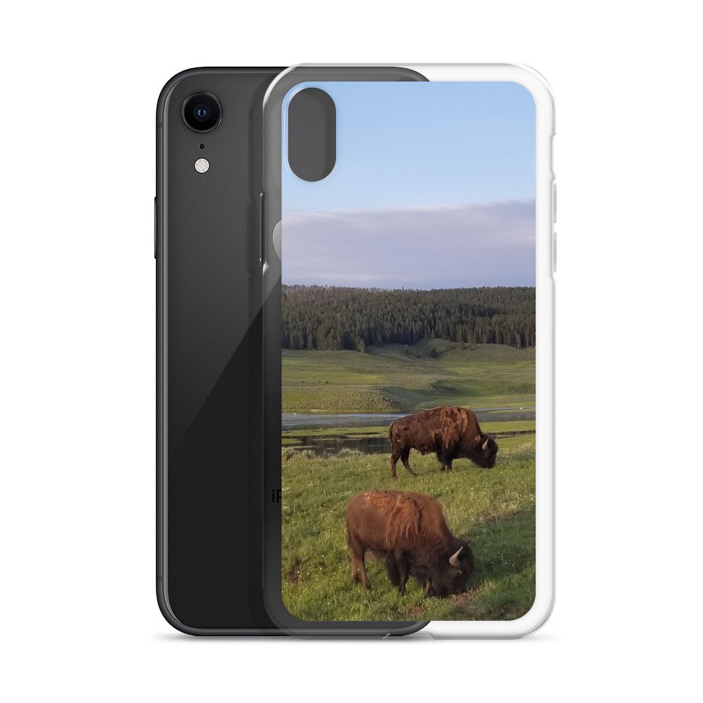 clear-case-for-iphone-iphone-xr-case-with-phone-6747856568294.jpg