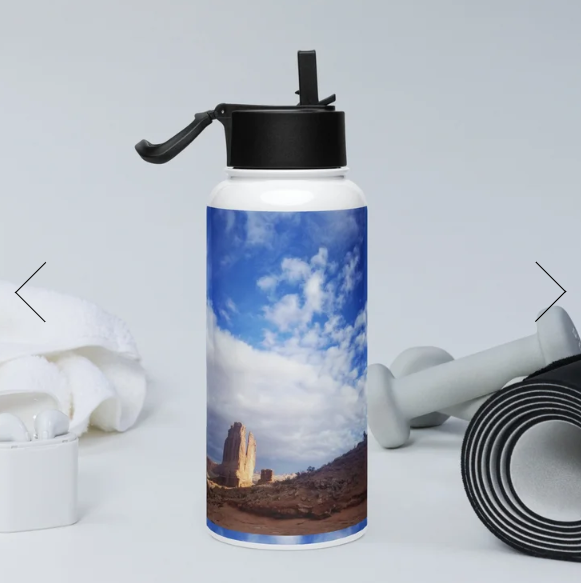 Stainless Steel Water Bottle w/Straw Lid