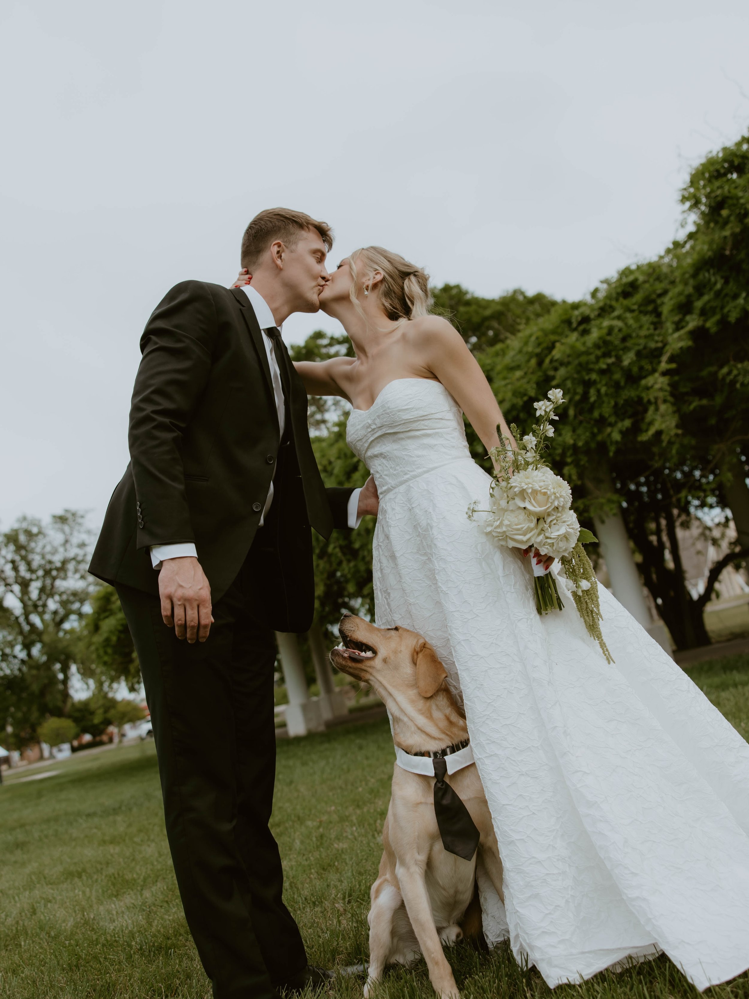 brief moments of starkel wedding day!✨