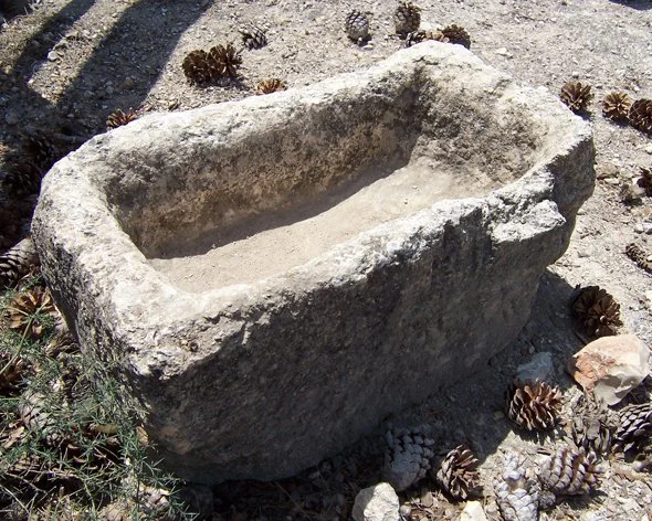 This Will Be a Sign for You