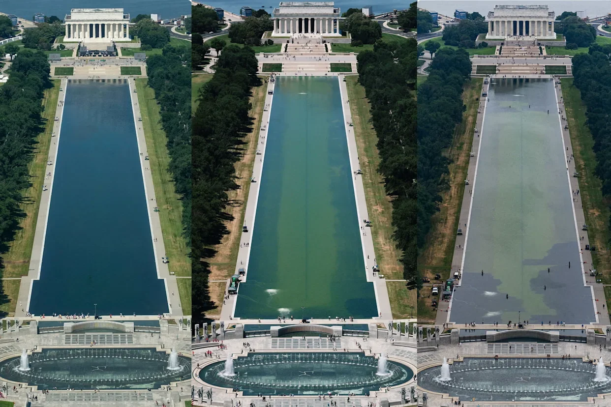 “An Open Letter to the Lincoln Memorial Reflecting Pool Vandal”