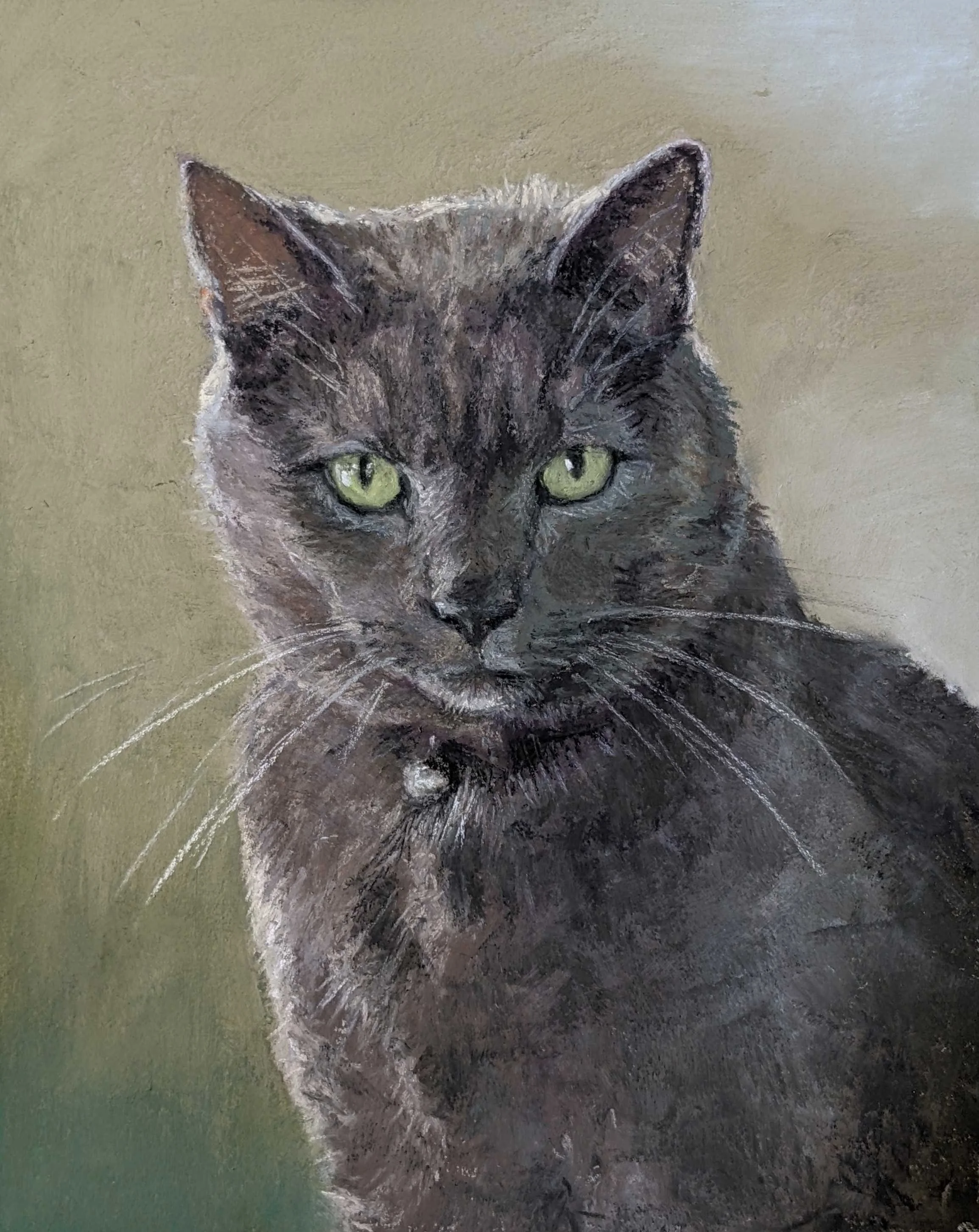 Bob  8" x 10"  Pastel 