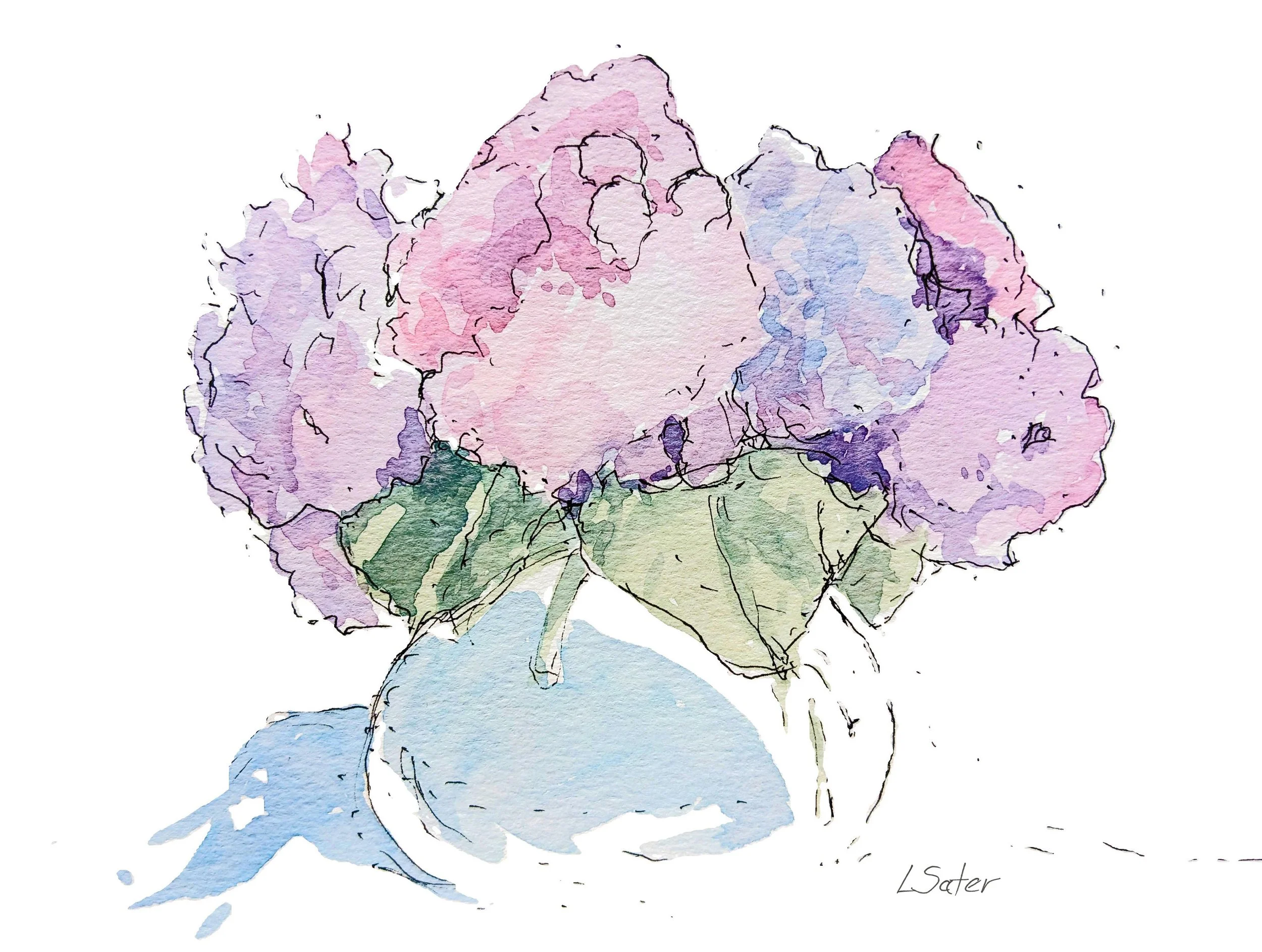 Hydrangeas 