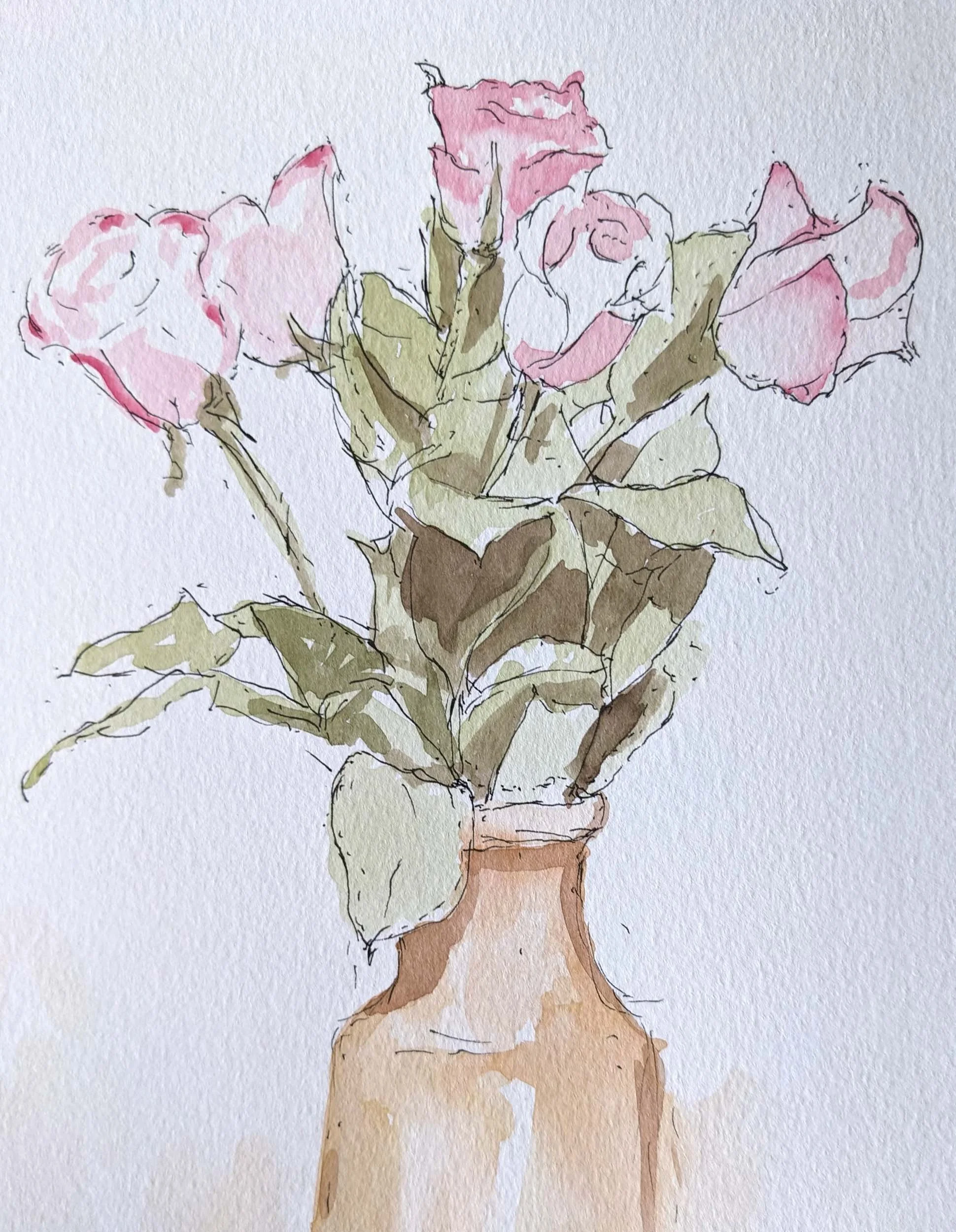 Roses  5" x 7"  Ink and watercolor