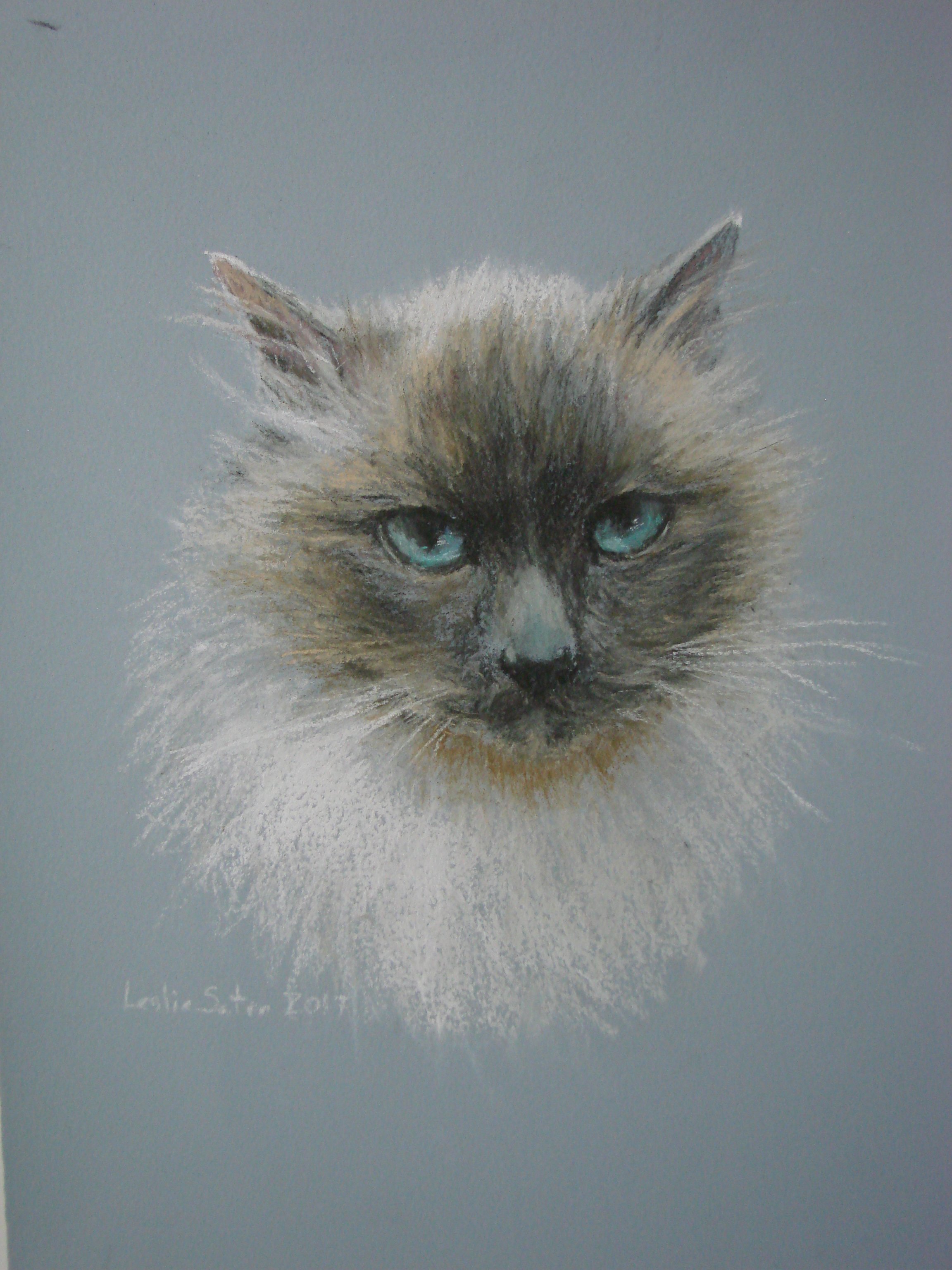 Sweet Sebastian  8" x 10"  Pastel 