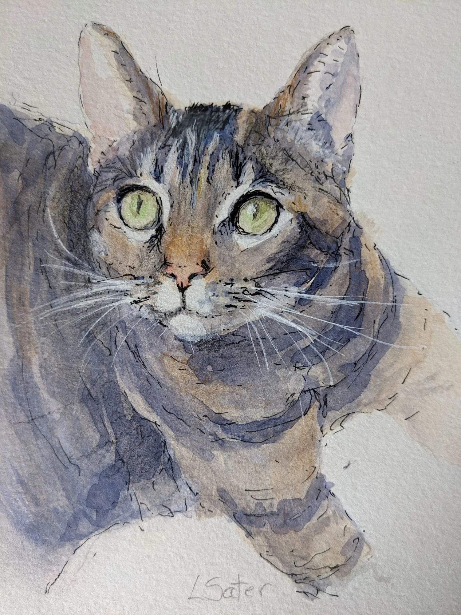 Misty  5"x7"  Ink & watercolor