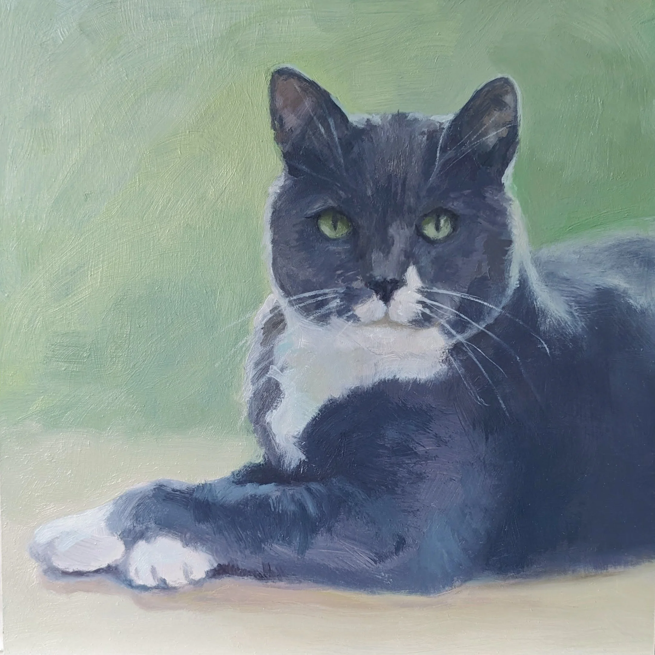 The Elusive Stella  8" x 8"  Oil 