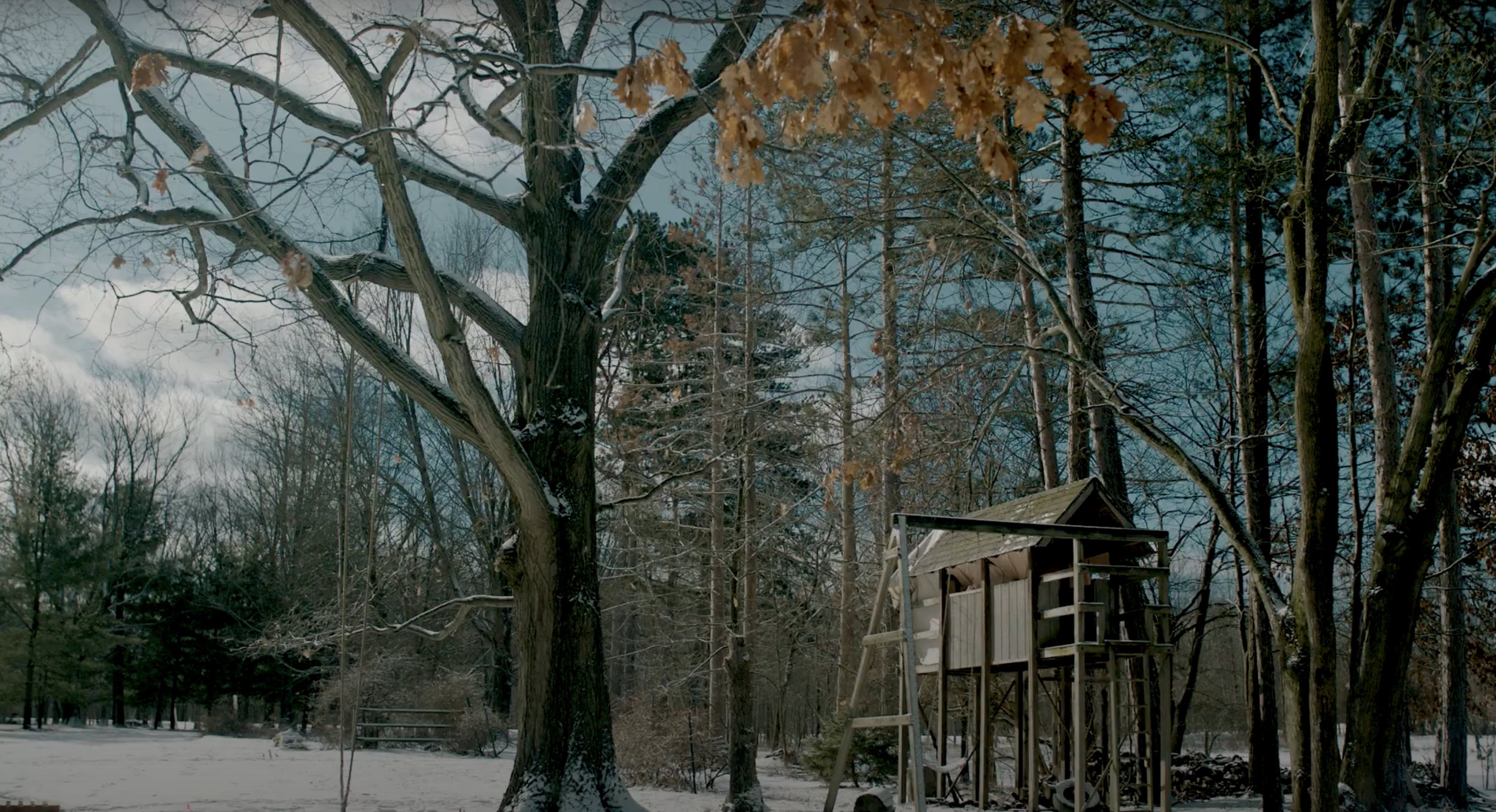 Treehouse